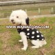 Factory OEM customize designer winter lovable dog clothes for small dogs